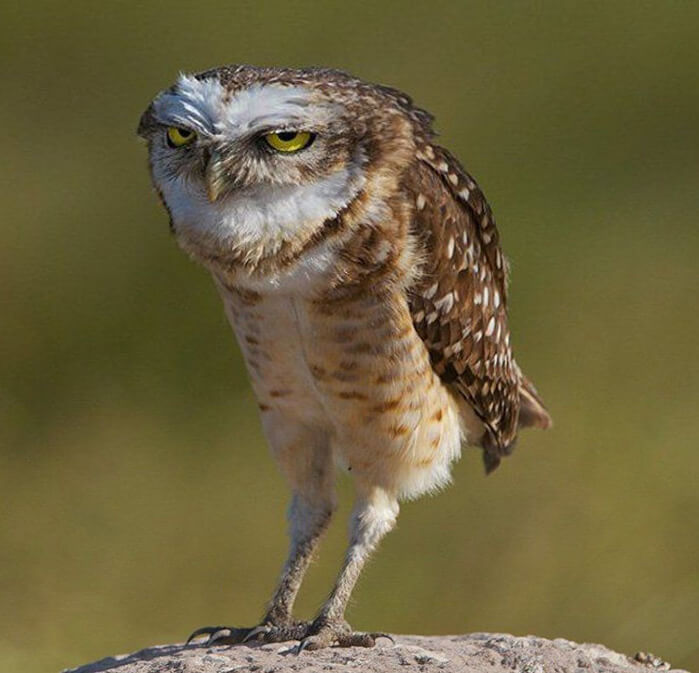 Как подготовиться к приему у стоматолога. Головная боль после стоматологического обезболивания. Как ее избежать и быстрее вернуть чувствительность зубов