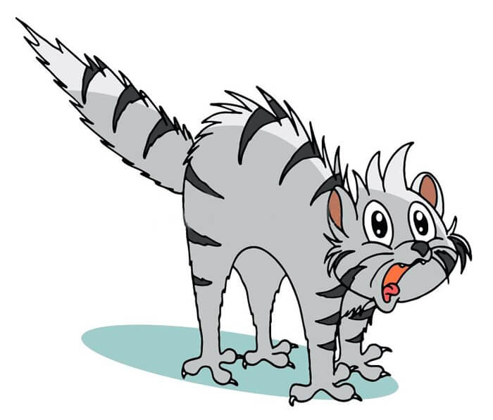 Как подготовиться к приему у стоматолога. Головная боль после стоматологического обезболивания. Как ее избежать и быстрее вернуть чувствительность зубов