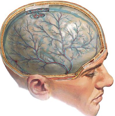 При температуре начинает болеть спина