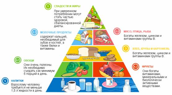 Пирамида продуктов при здоровом питании Пирамида продуктов при здоровом питании