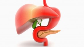 Правильное питание при заболевании поджелудочной Правильное питание при заболевании поджелудочной