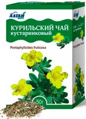 Полезные свойства и противопоказания курильского чая