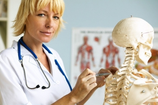 Фосфор делает кости и зубы крепче Фосфор делает кости и зубы крепче