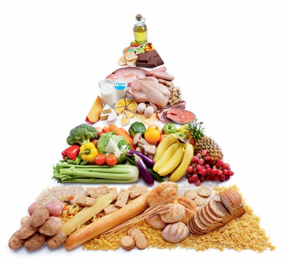 Пирамида питания Пирамида питания
