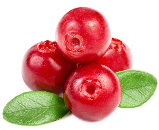 Клюква - 26 ккал в 100 г Клюква - 26 ккал в 100 г